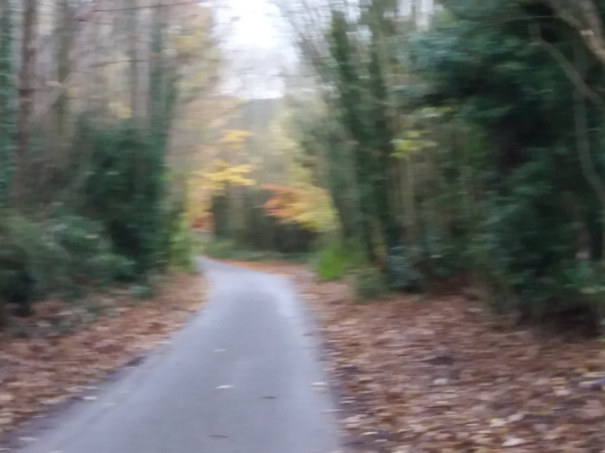 DavidCrayford2's tweet photo. Went for a walk found some good Autumn colours https://t.co/F3rBpCxfgN