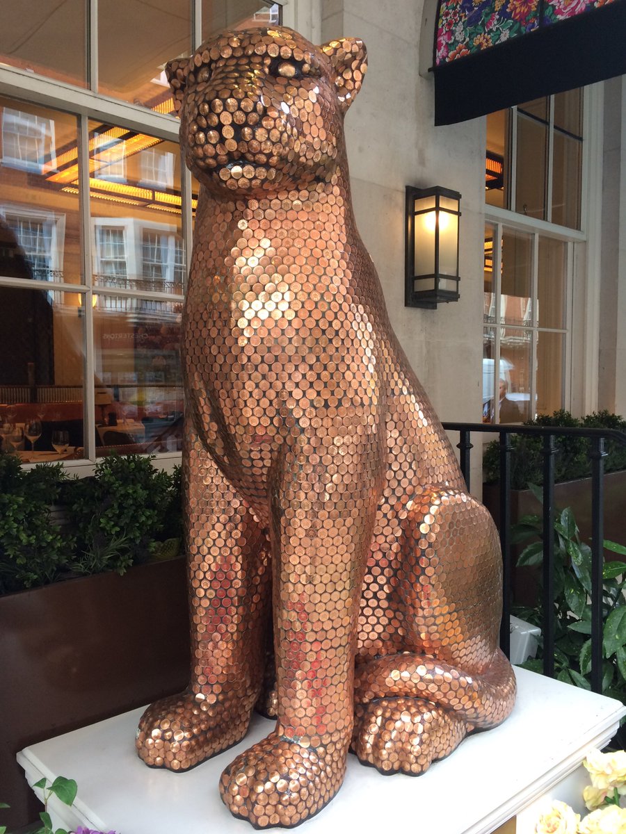 This was a cat in South Audley St last week