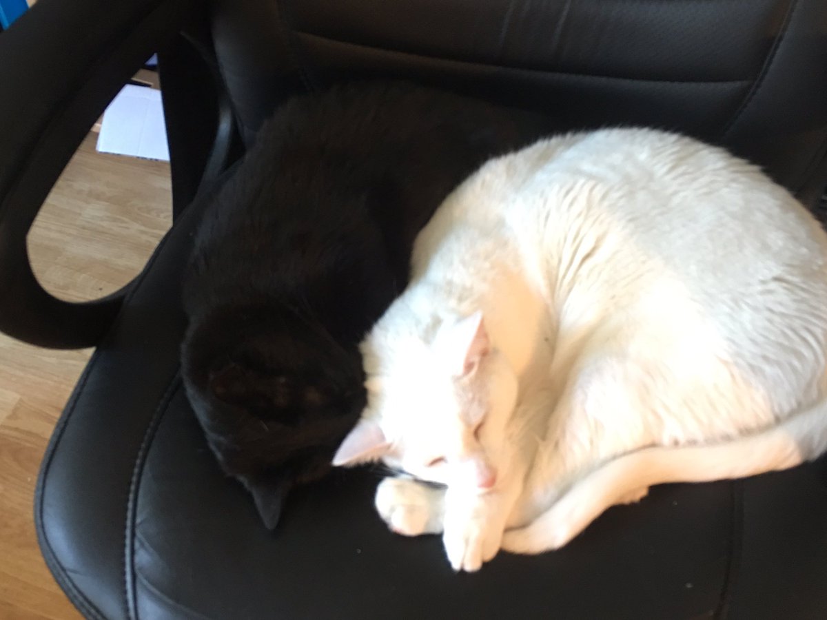 Charly+Nevado (@charly_nevado) on Twitter photo 