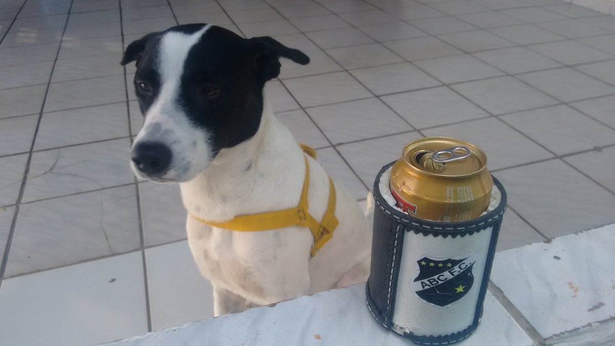 cleiberjdf's tweet photo. Aqui em casa somos todos alvinegros, não importa a série, sempre @ABCFC https://t.co/aOo0sqAxIw