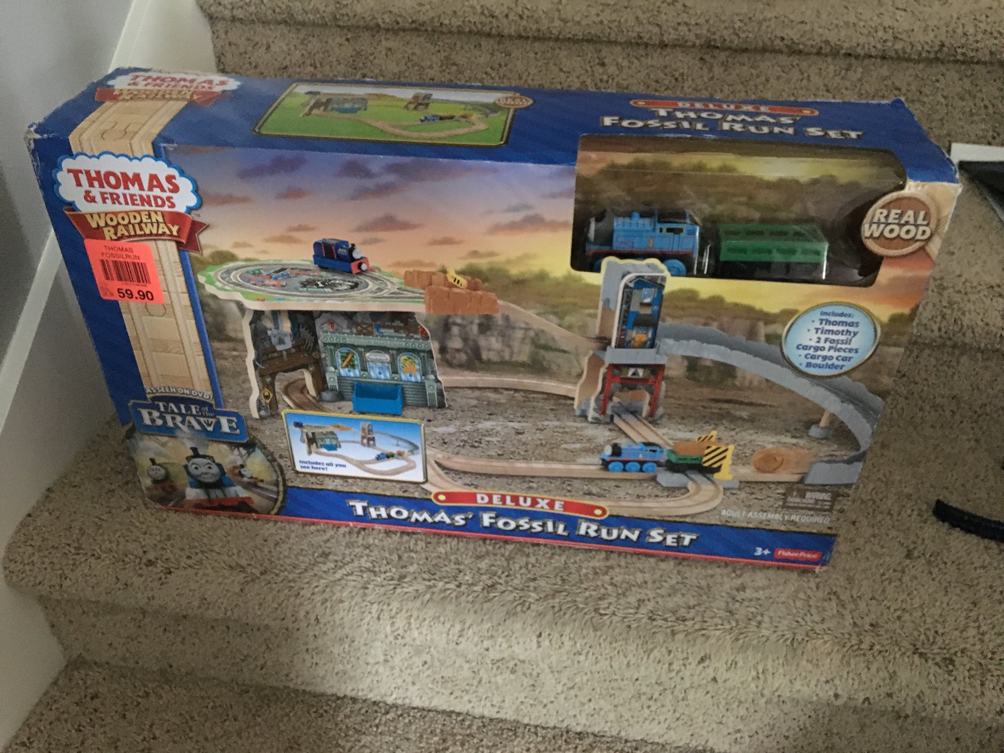 thomas fossil run set