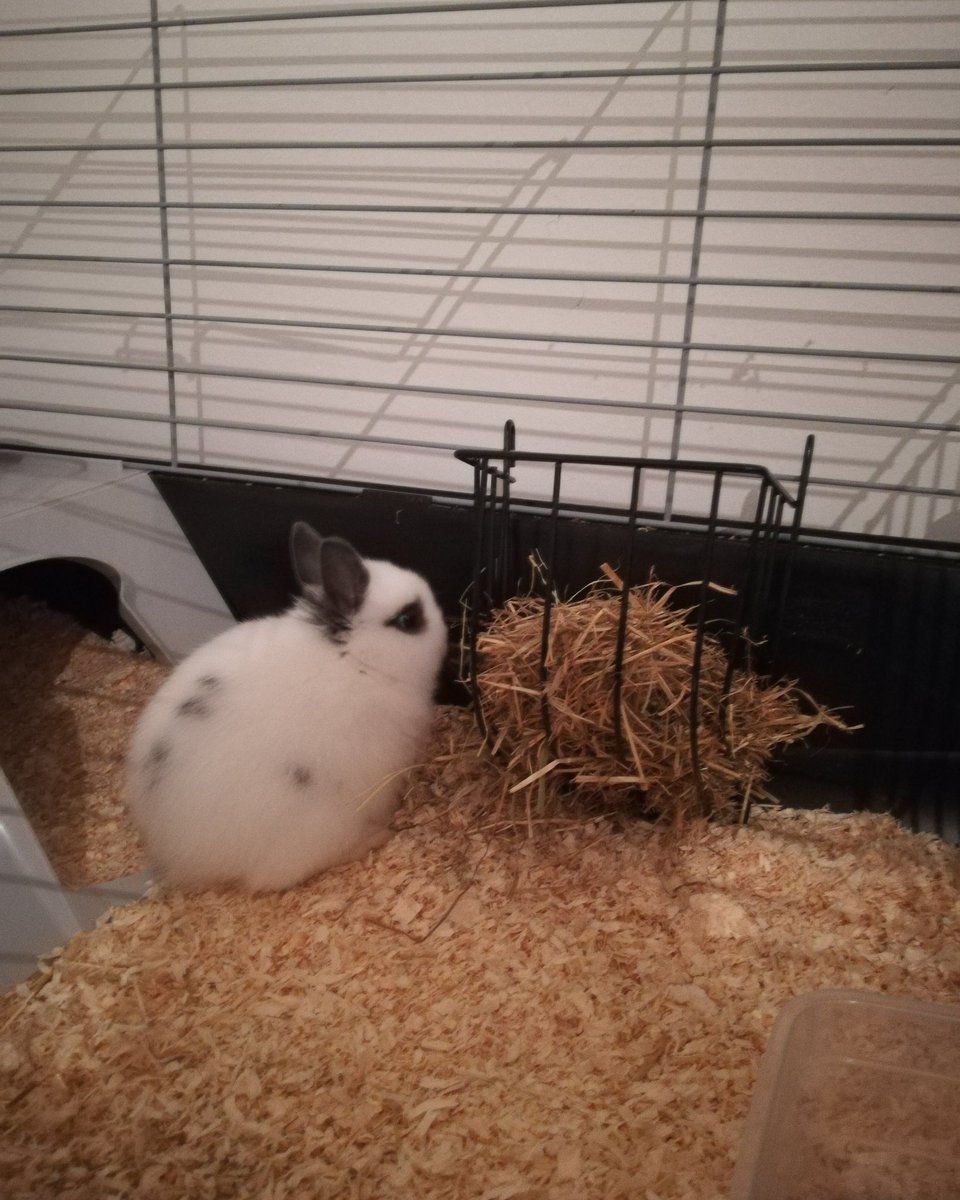 La bièrathèque tweet media