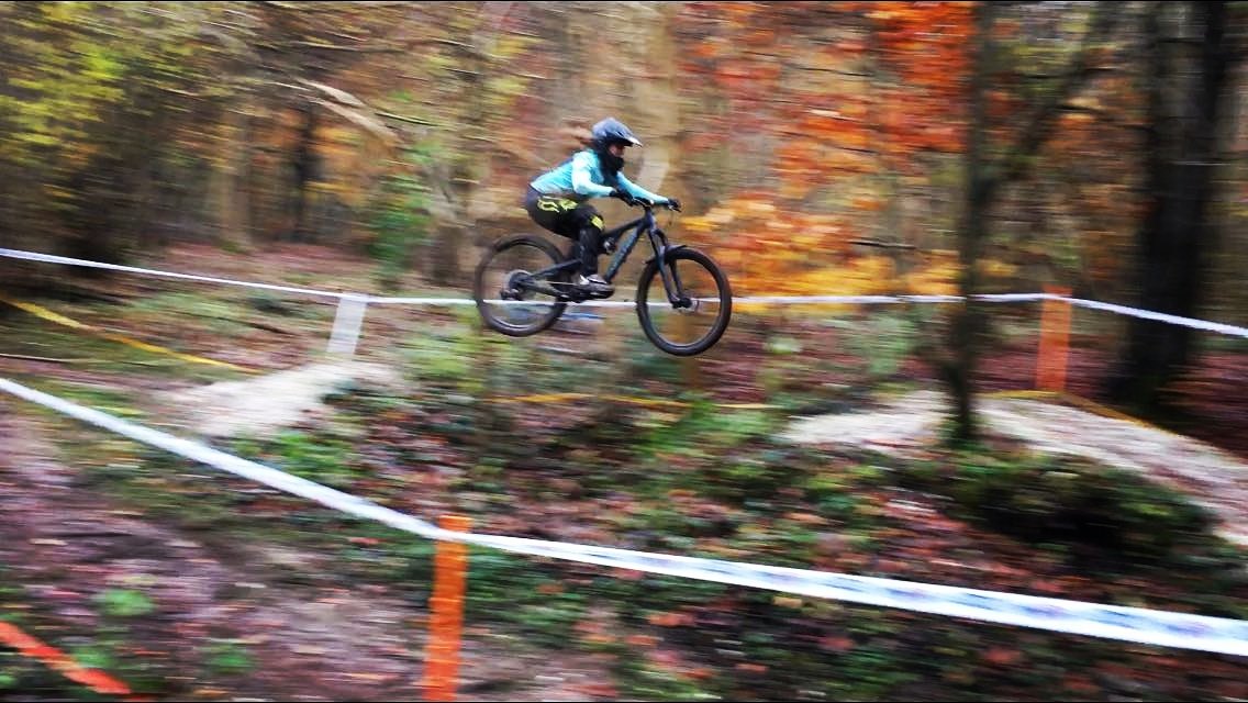 LadiesdoDH tweet media