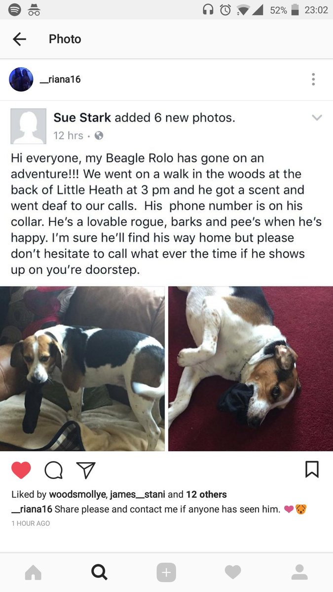 priyaashahh's tweet photo. #MissingBeagle #LittleHeath #Rolo https://t.co/OgVfoq0XiF