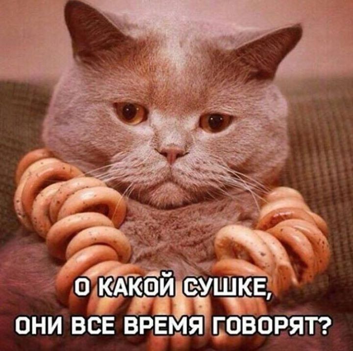 Oleksandr Yatsuliak (@yatsulyak) on Twitter photo 
