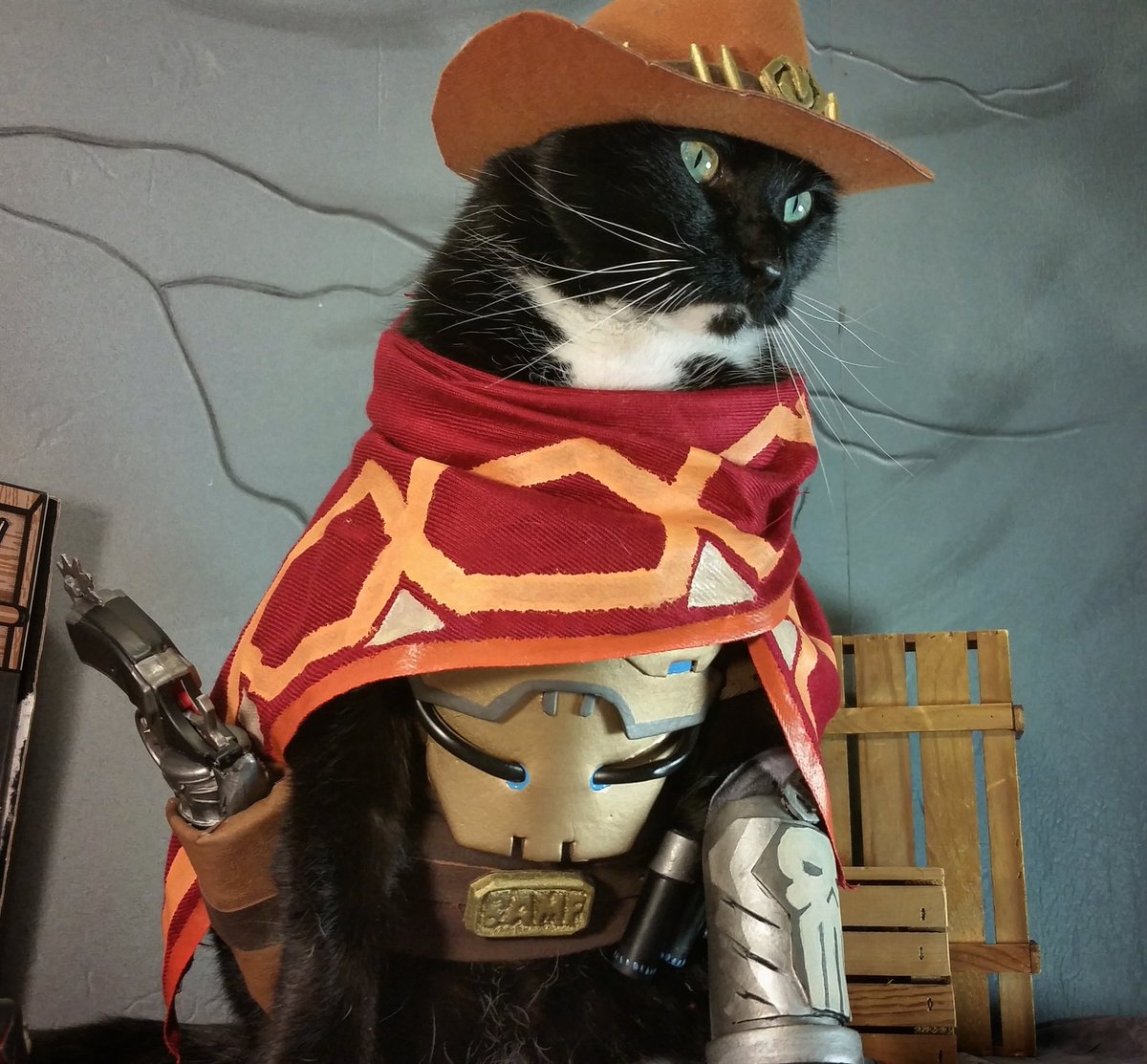 Cat_Cosplay's tweet photo. "Back into the Meow-mix." ~Meowcree

#Overwatch https://t.co/BEueR3eLWn
