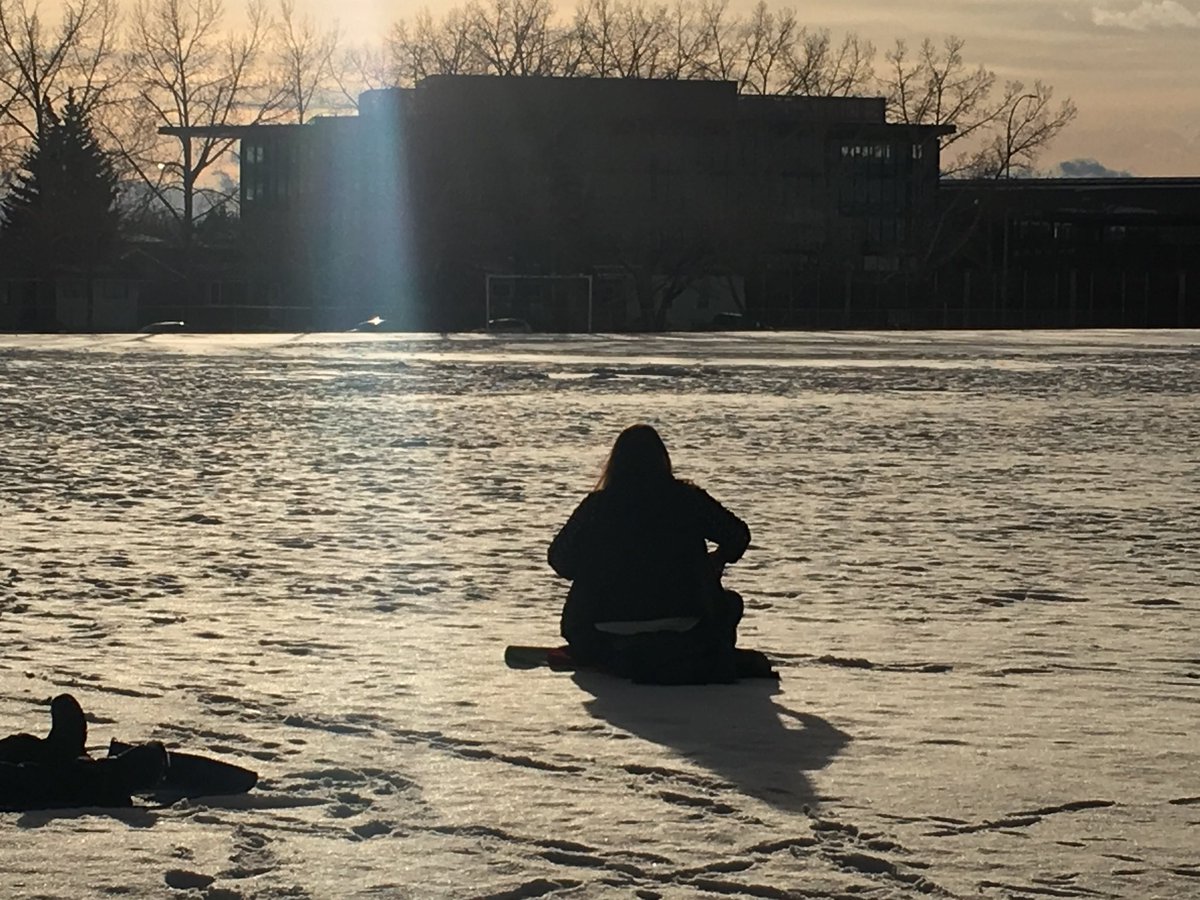 Anne Daniel tweet media