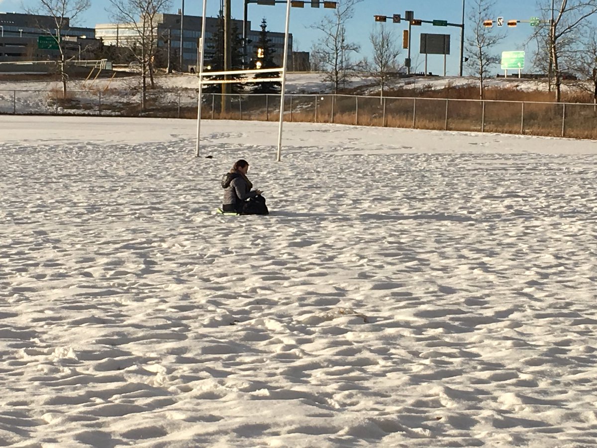 Anne Daniel tweet media