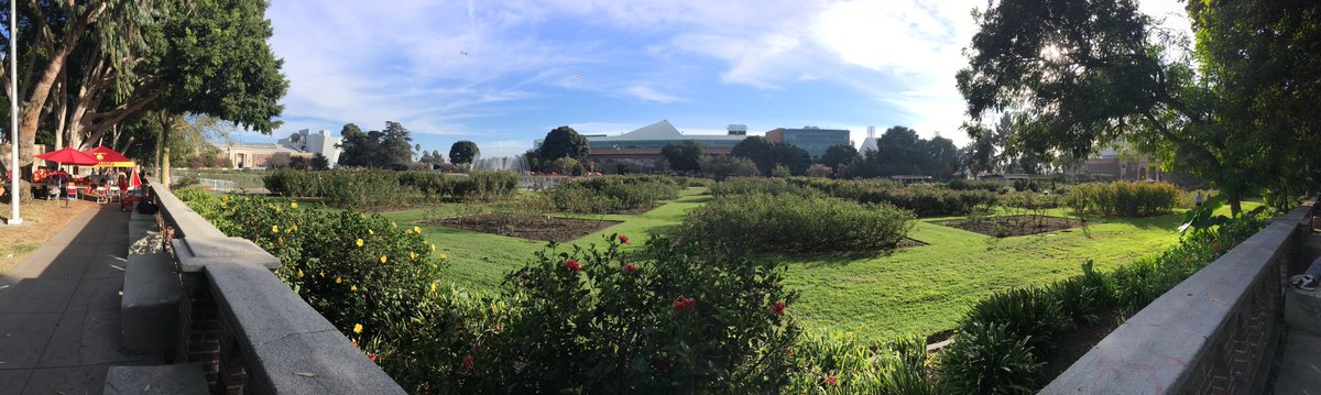 USCJulieP's tweet photo. Enjoyed the @USC @USCTMB tailgate! Beautiful location near the @ExpositionPark Rose Gardens! Beat the Bruins! https://t.co/oeTrYdTGRo
