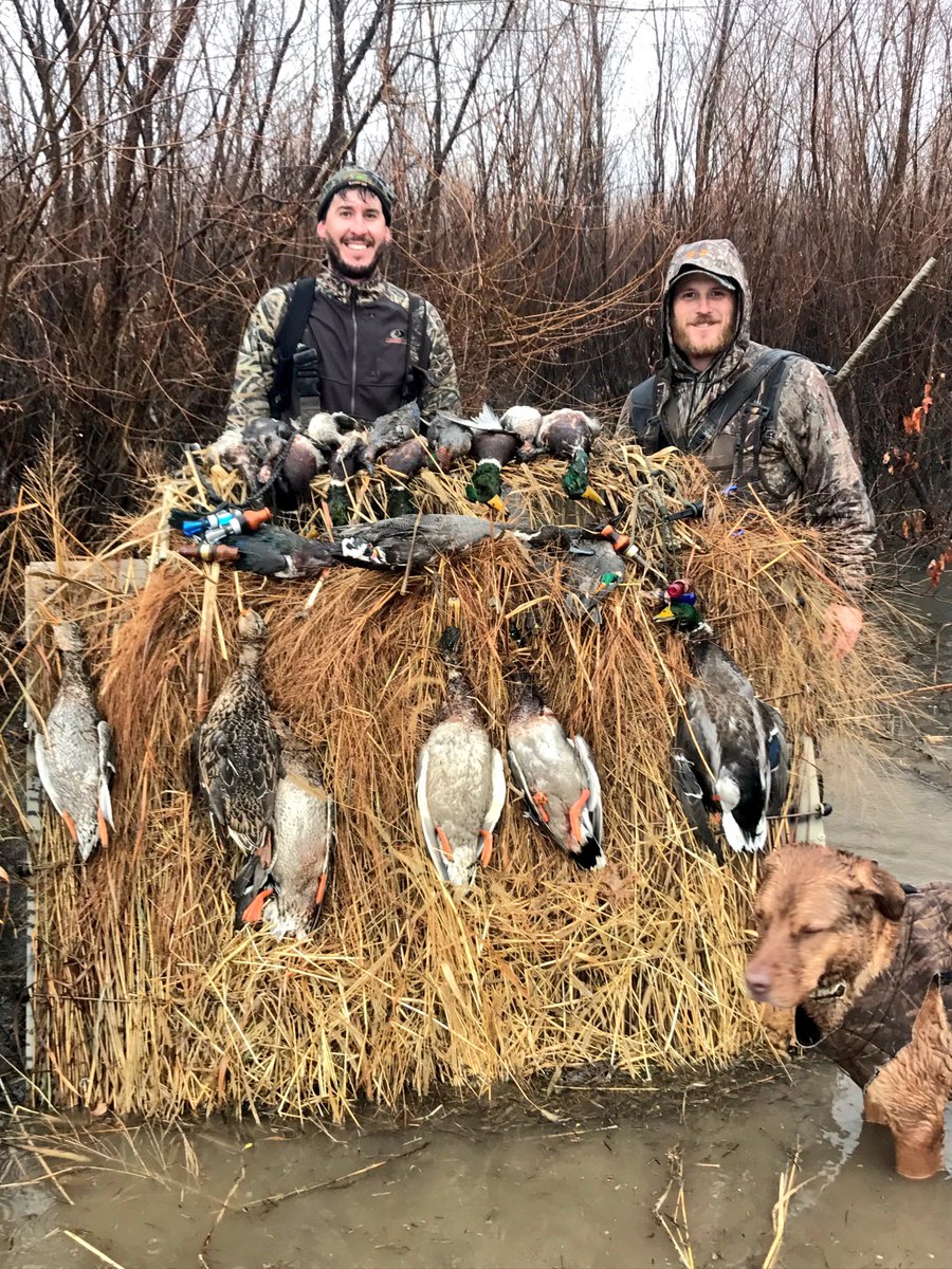 J_S_Daugherty's tweet photo. Wet morning but was worth it for #blindspotoutdoors and @Hann_Made_Calls #duckcalls #averysportingdog #missouri https://t.co/nJbzn8F96Z