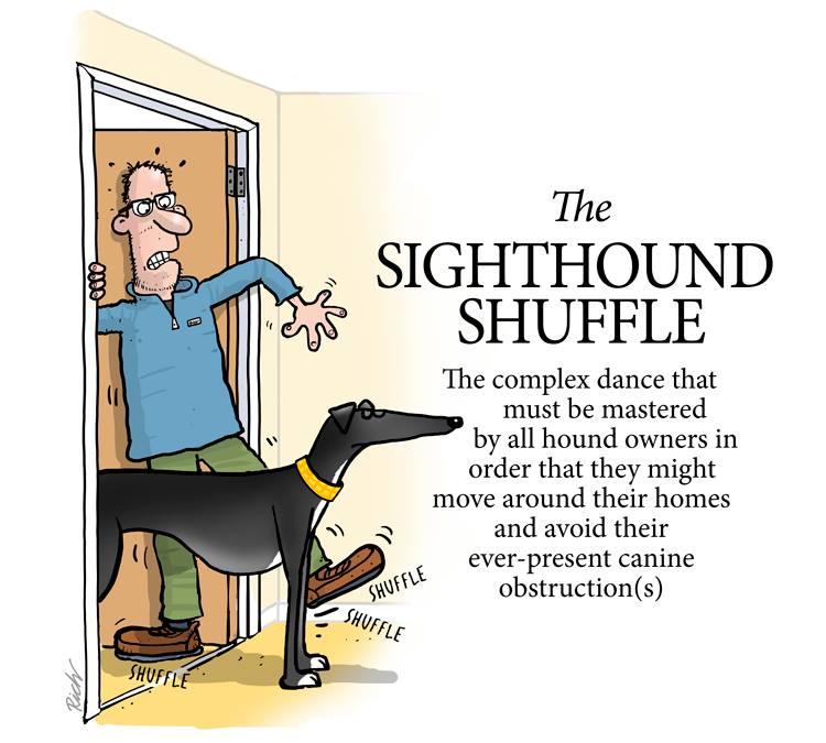 richskipworth1's tweet photo. Today’s entry for the everpanding Greyhound Glossary https://t.co/wxXIZYXZPT