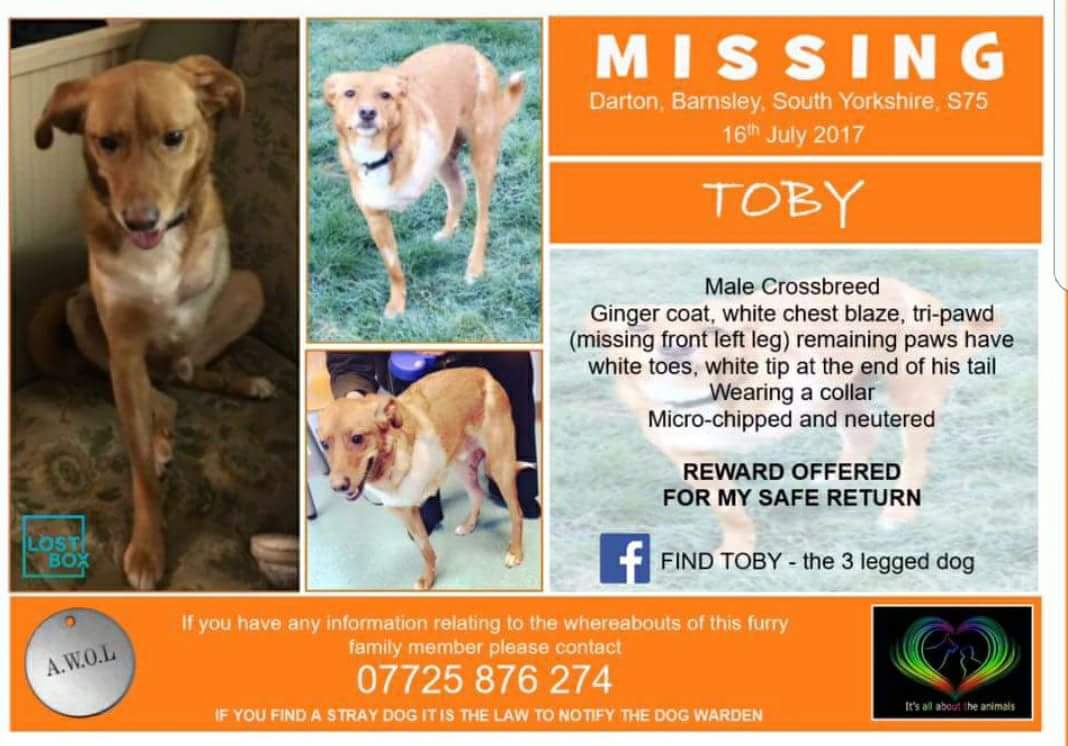 Find Tripawd Toby (@findtripawdtoby) on Twitter photo ***CONFIRMED SIGHTING 18/11/17***
#Mexborough Please keep your eyes peeled and report any sightings immediately <a href="/yorkshire_hour/">#YorkshireHour</a> @mexborough <a href="/Vets4PetsDN/">Doncaster Vets4Pets</a> <a href="/DonnyFreePress/">Doncaster Free Press</a> <a href="/DogTAGMids/">Dog TAG</a> <a href="/Barnsley_UK/">BarnsleyisBrill</a> <a href="/ChronOnline/">Barnsley Chronicle</a> <a href="/DoncasterHour/">#DoncasterHour</a>
#TimeToComeHome ***CONFIRMED SIGHTING 18/11/17***
#Mexborough Please keep your eyes peeled and report any sightings immediately <a href="/yorkshire_hour/">#YorkshireHour</a> @mexborough <a href="/Vets4PetsDN/">Doncaster Vets4Pets</a> <a href="/DonnyFreePress/">Doncaster Free Press</a> <a href="/DogTAGMids/">Dog TAG</a> <a href="/Barnsley_UK/">BarnsleyisBrill</a> <a href="/ChronOnline/">Barnsley Chronicle</a> <a href="/DoncasterHour/">#DoncasterHour</a>
#TimeToComeHome