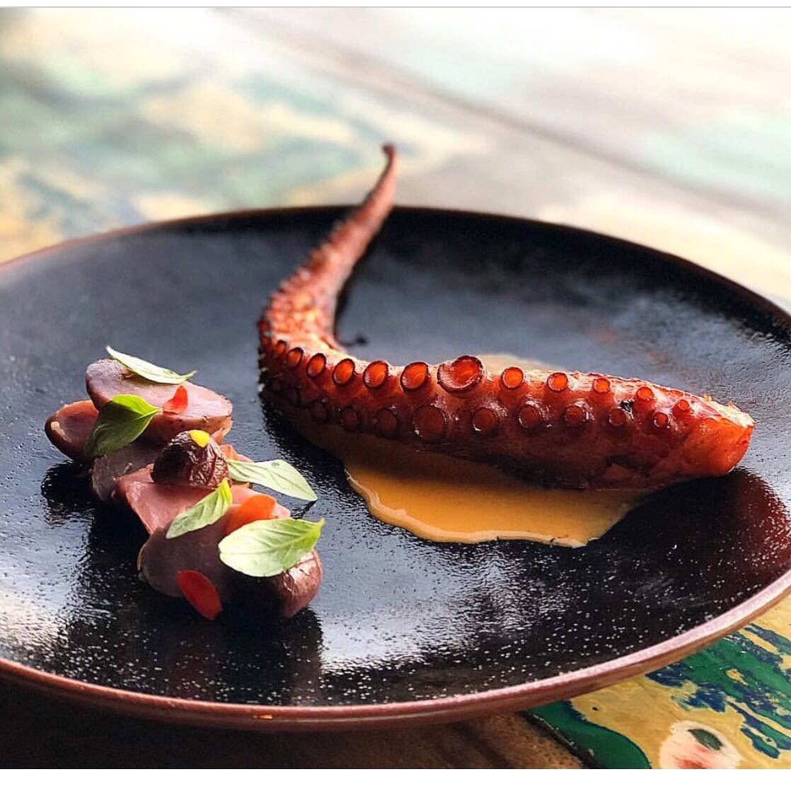 Dija Mara tweet media