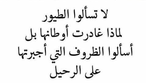 MARIEMALOTEEBI's tweet photo. لا تحكم على التجارب و المواقف والظروف التي لم تَخضها بعد لانه لا يمكنكَ أبداً أن تبصر و تشهد كل الأحداث الصغيرة والكبيرة من زاويةٍ بعيدة ٍ جداً وفي مكانكَ الآمنِ جداً ..
حتى تحكم على الاخرين يجب أن تعيش أبسط ظروفهم و أعنفها ..
#تصبحون_على_كاظم_الساهر https://t.co/aPBuolCRSz