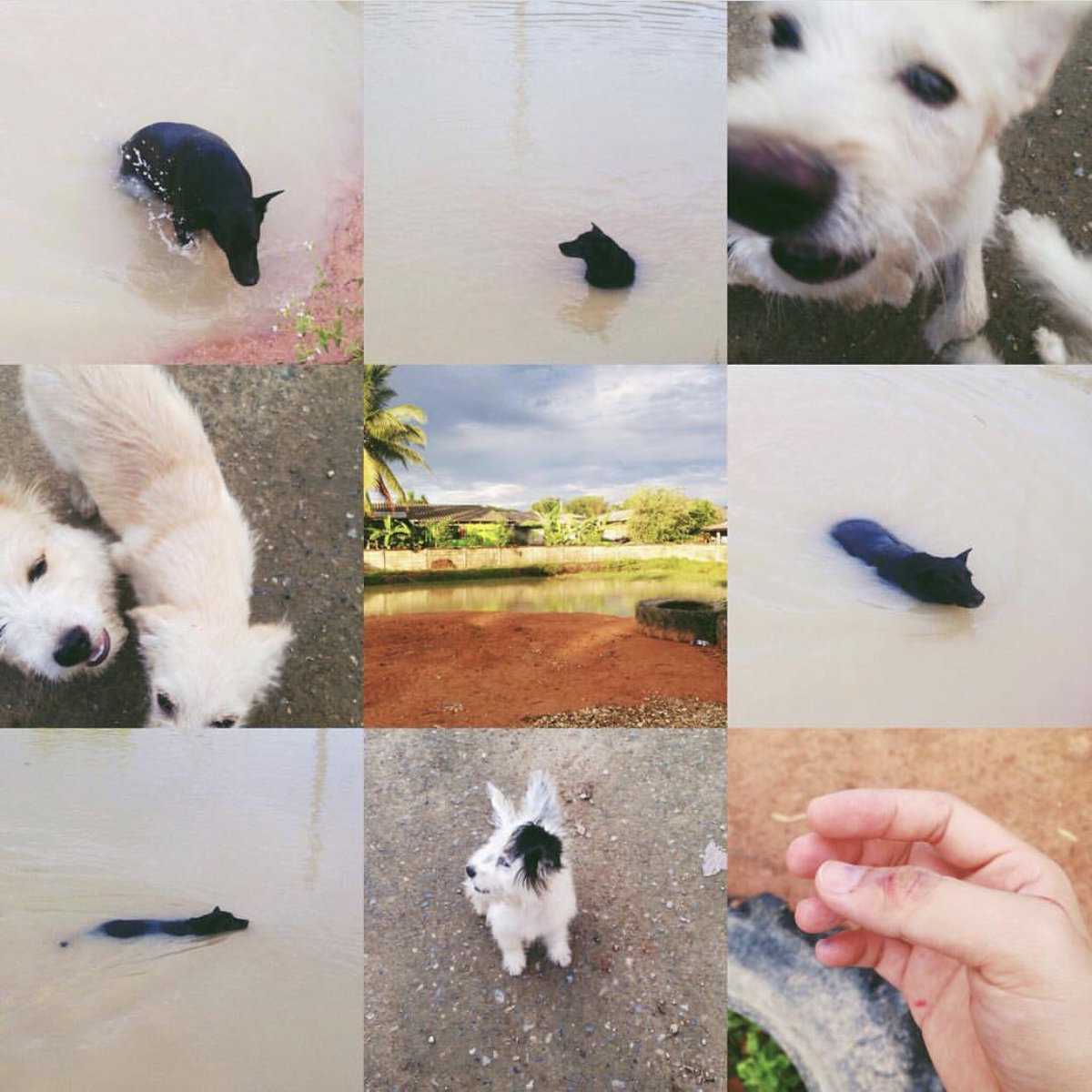 น้องน้ำล้านงอน 🐳 lll tweet media