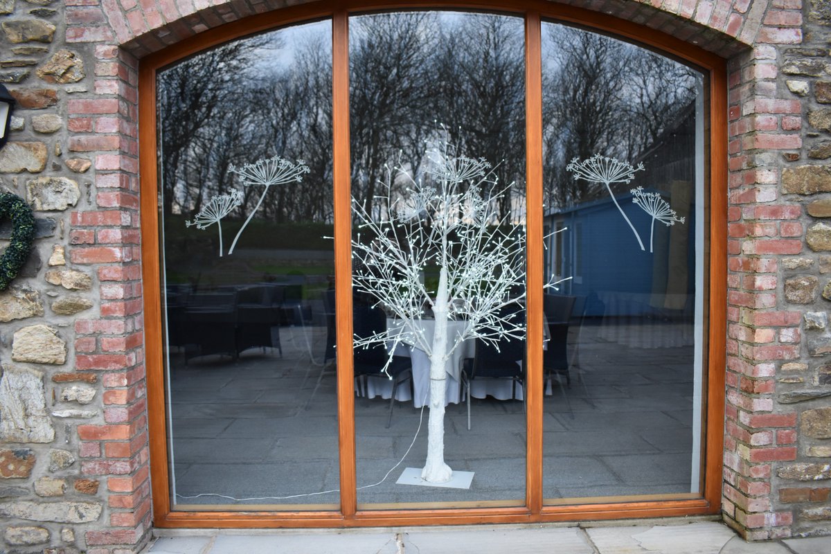 abereiddymary's tweet photo. Its beginning to look a bit like #Christmas#decorations#festive#party nights https://t.co/vg48V7cn5h
