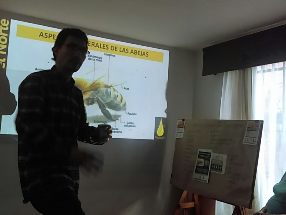 Aprendiendo de abejas con melissas del norte.