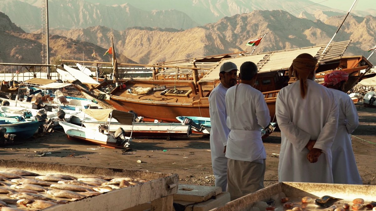 wearethecreativ's tweet photo. A simple fish market in #Oman looking glorious on our recent adventure there with @charitychall and @CoppaFeelPeople . https://t.co/xHqKXa5ISb