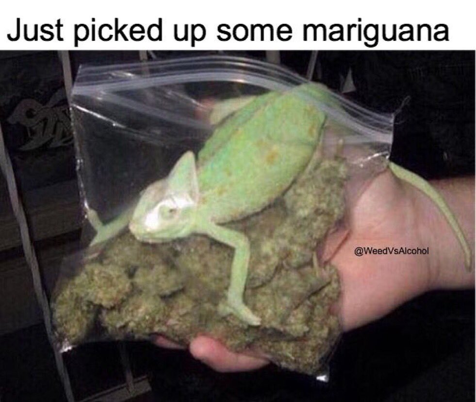 LegalizeGreenMJ's tweet photo. Just picked up mariguana 😂 https://t.co/A5Ckl3he9Q