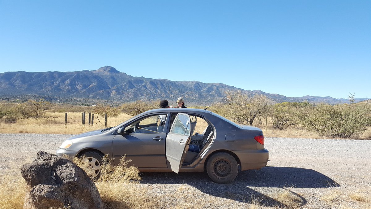 insect_taxonomy's tweet photo. Obviously the #best field vehicle. Definitely the #best #fieldfriends! #smithonit #besties #wherethebeetles #leaves https://t.co/Hs27Bnz9hl