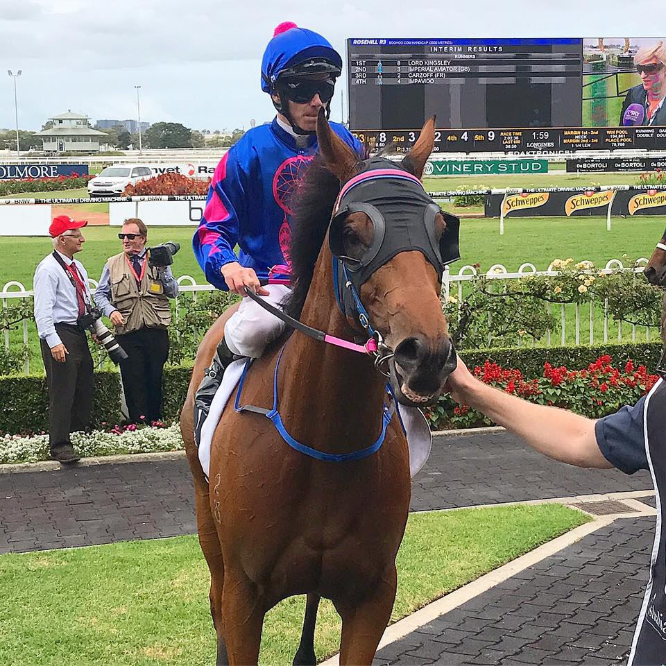GoldnersHT's tweet photo. #GoldnersTransported Lord Kingsley (Tim Clark) get up to win the https://t.co/Xdh1uFNzQv Handicap. For trainer Lauri Wray it was her first Saturday Metro winner!! Congratulations! #GoldnersStable https://t.co/hQaqhVYCob