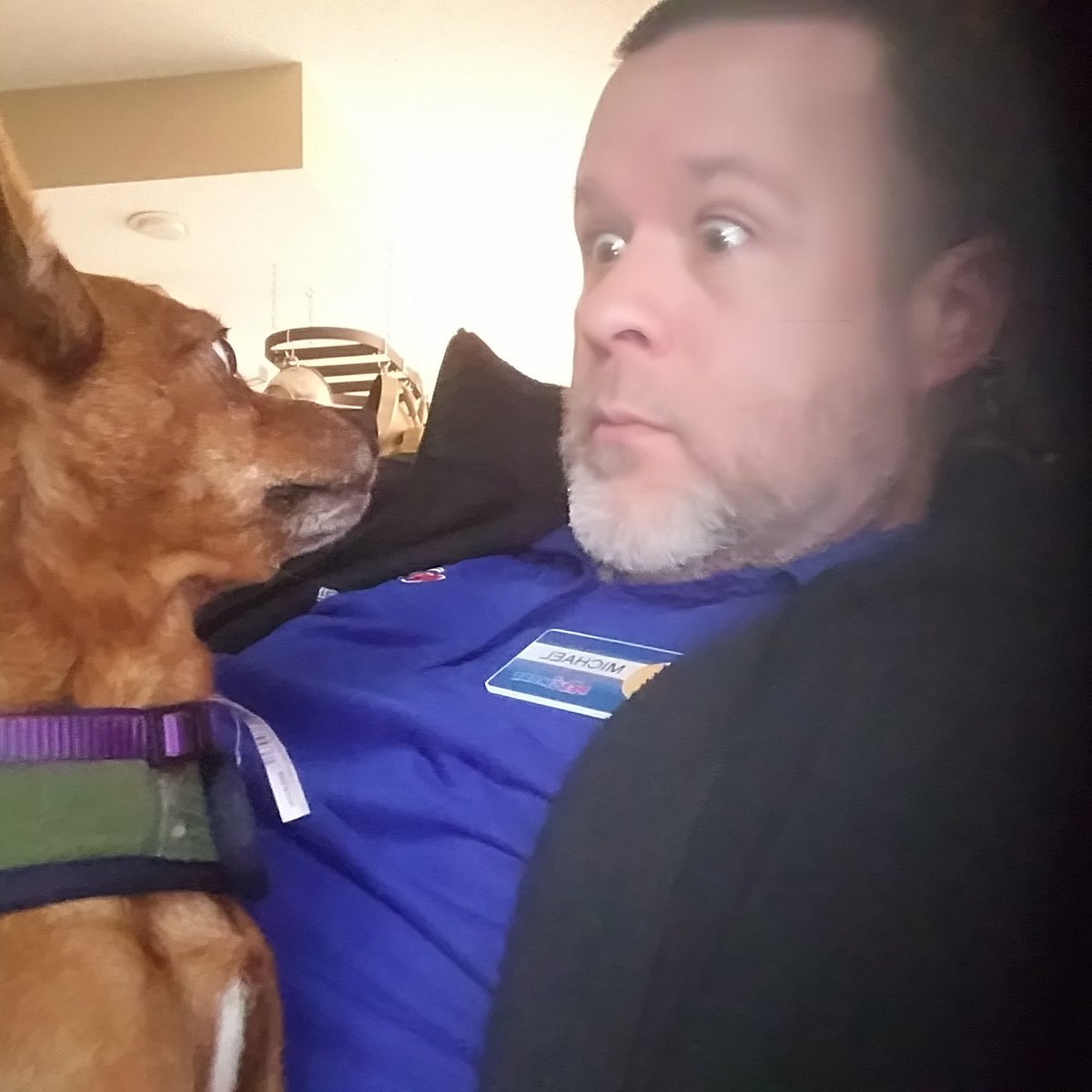 #staringcontest with my #bff. Winner goes to #petsmart. Who am i kiddin, we both will.