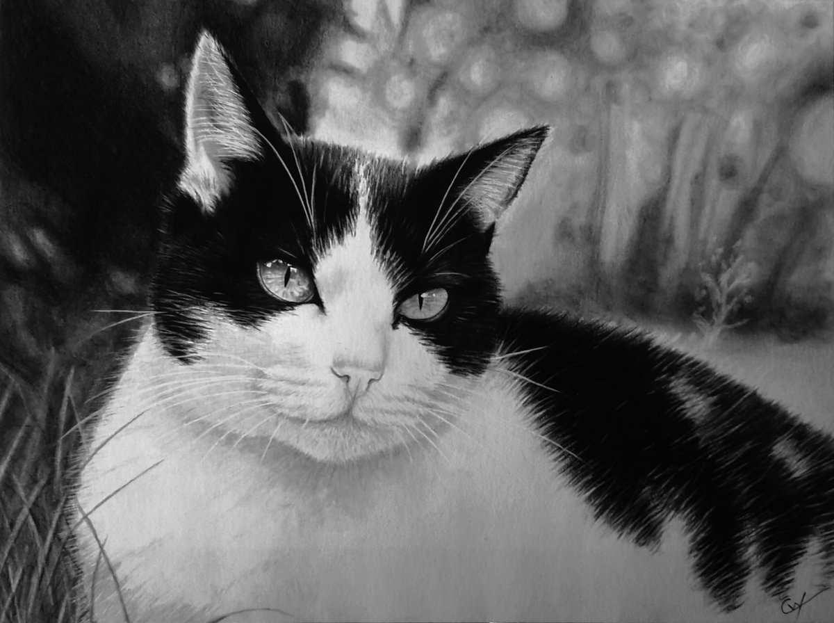 Cyrielle Warmé On Twitter Coquinette 24x32cm Graphite