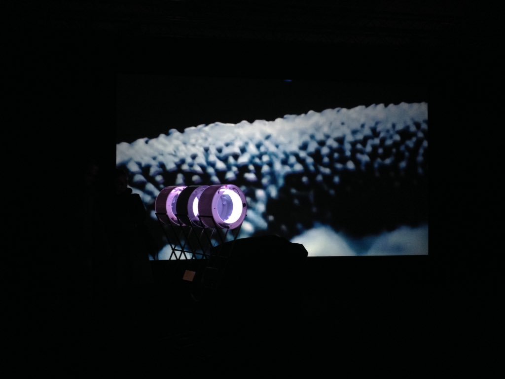 roiiroiiro's tweet photo. Aurelia 1+Hz / proto viva sonificatio at #cynetart #dresden #aurelia1hz #jellyfish https://t.co/1mEUEnCGLr
