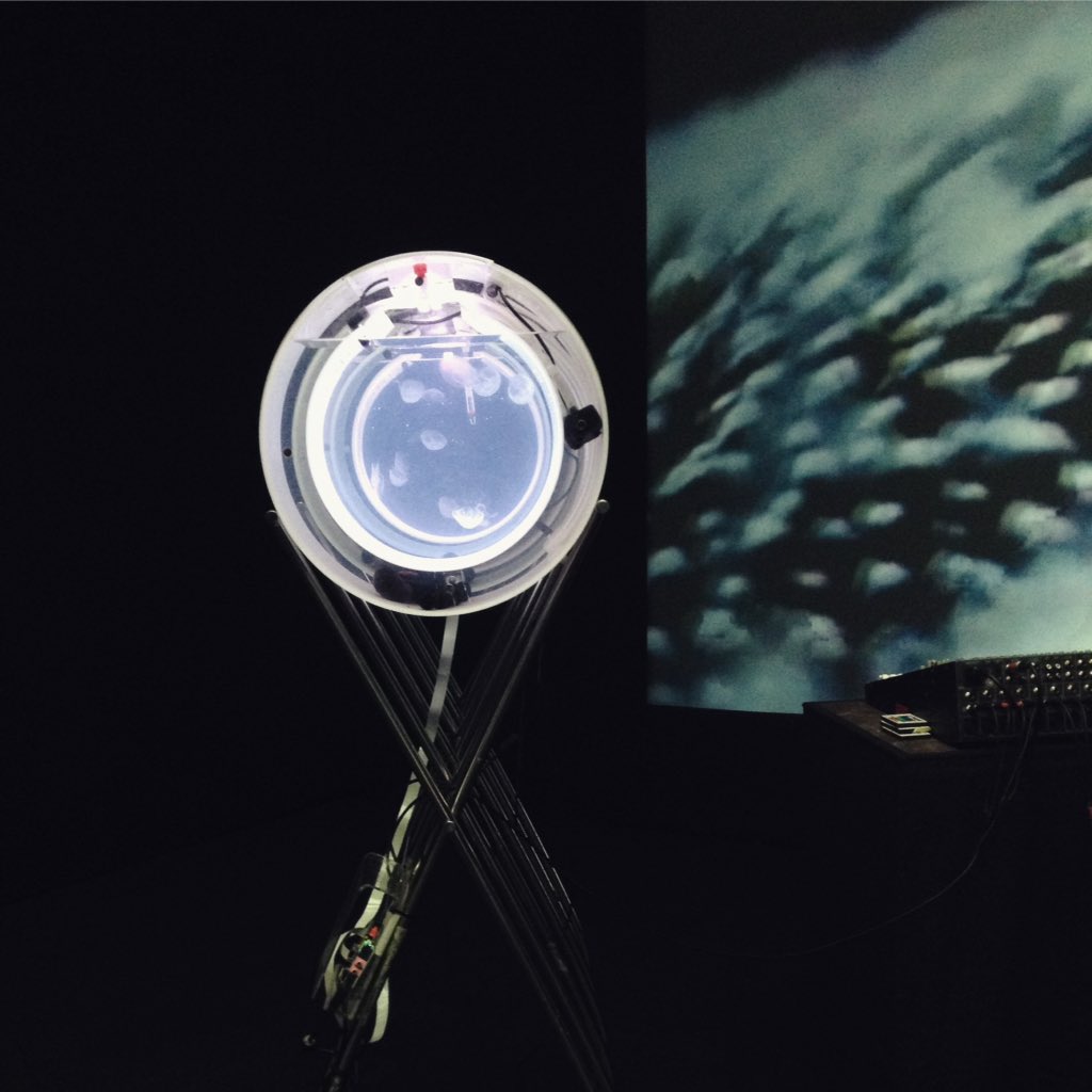roiiroiiro's tweet photo. Aurelia 1+Hz / proto viva sonificatio at #cynetart #dresden #aurelia1hz #jellyfish https://t.co/1mEUEnCGLr