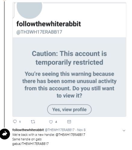 The TH3WH17ERABB17 account and its alts appeared to have been repeatedly restricted/suspended by Twitter, btw.  #FollowTheWhiteRabbit