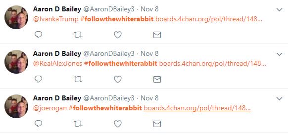 43 minutes after the first  #FollowTheWhiteRabbit tweet, user AaronDBailey3 tweeted the hashtag and related 4chan links at 32 users with high follower counts.