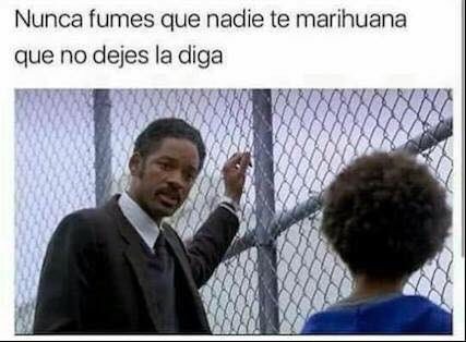 ChileWebeo's tweet photo. Cuál tal https://t.co/hGhaqwo7LS