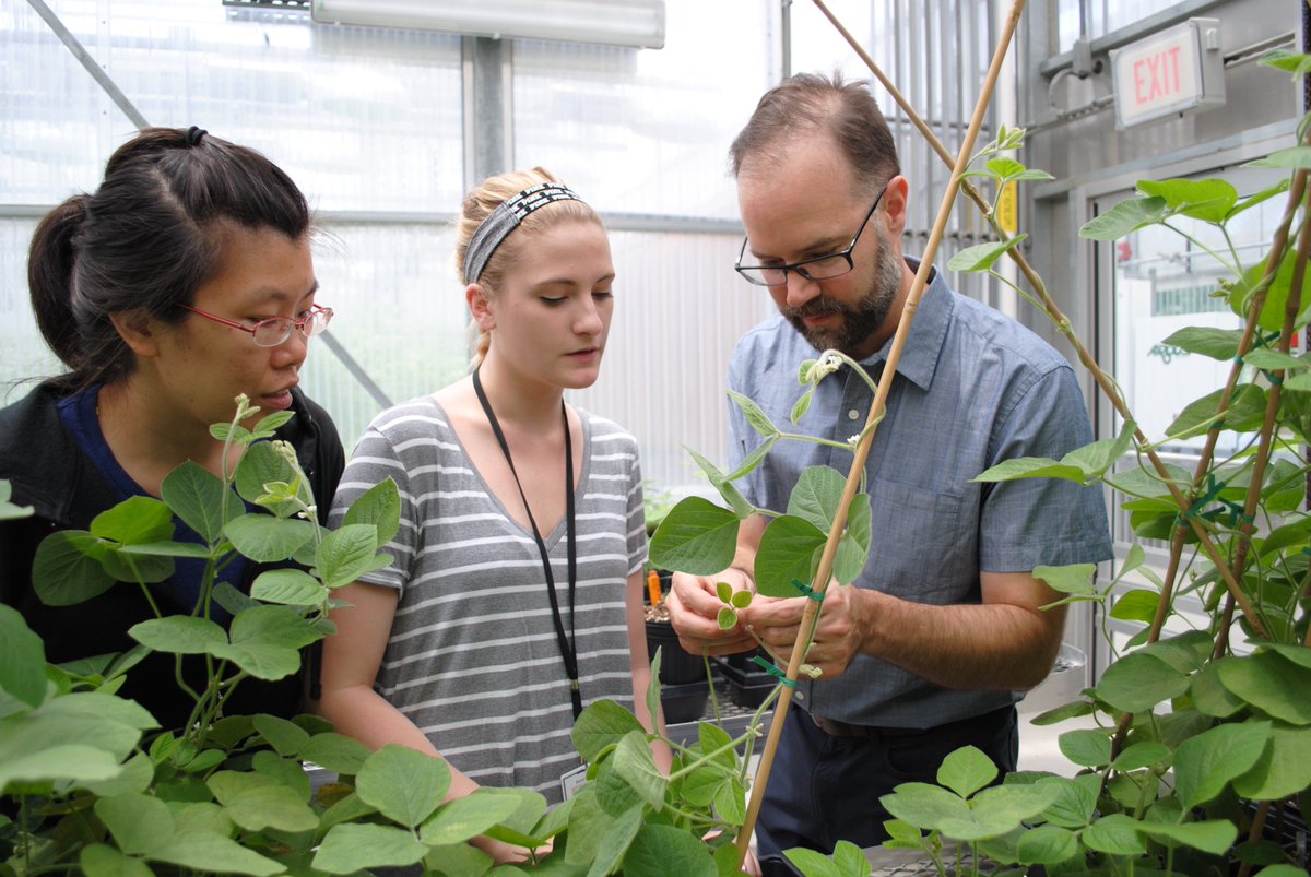 You can NOW apply to the 2018 <a href="/NSF/">U.S. National Science Foundation</a> REU Summer Internship program at the #DanforthCenter! Deadline: Feb 9, 2018, ow.ly/mAyK30gEj6z Spread the word! #SciIntern