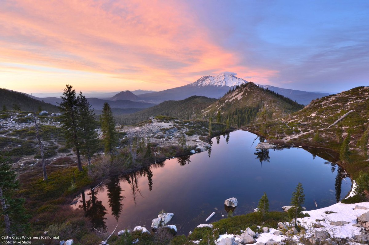 Wilderness tweet picture