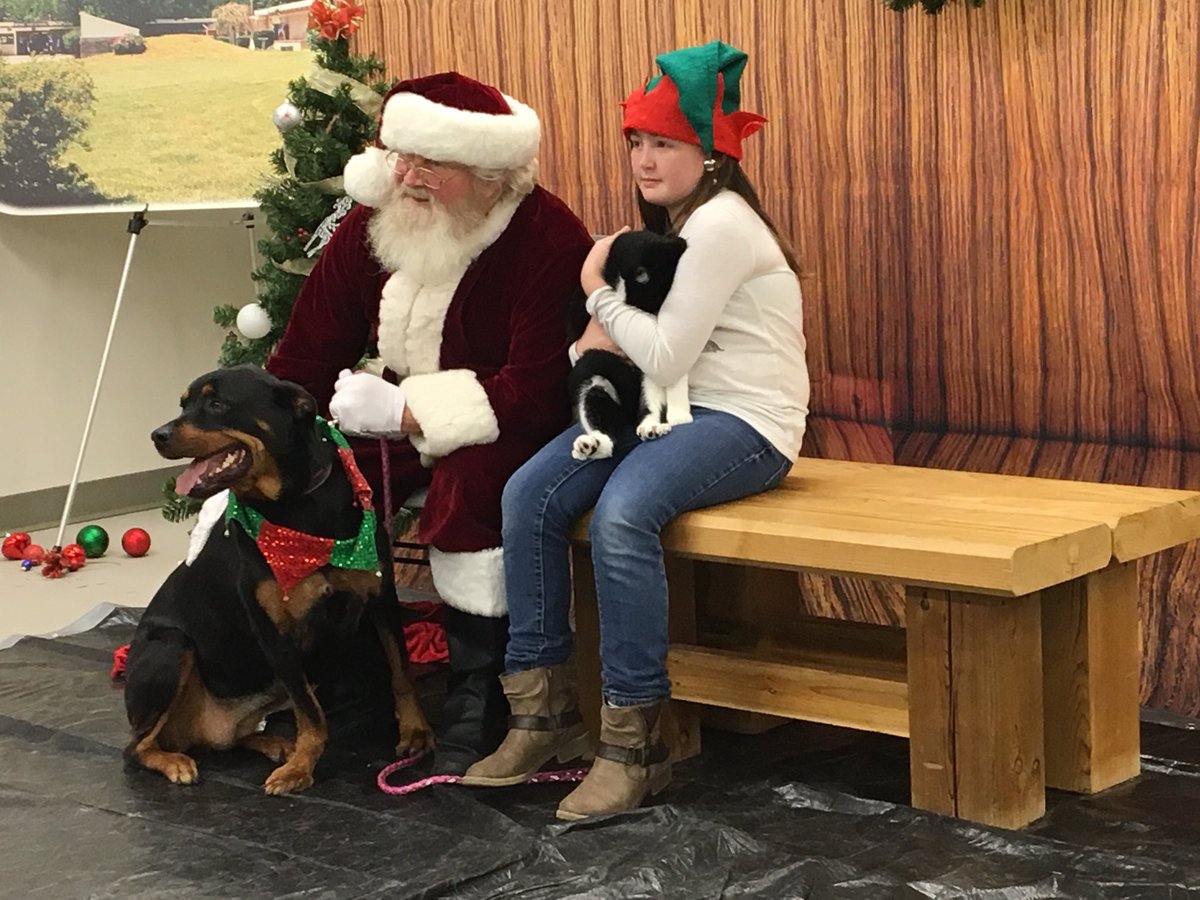 akubraman's tweet photo. This service project is for the dogs! @#kdyg2017 https://t.co/jNJLVjgTSI
