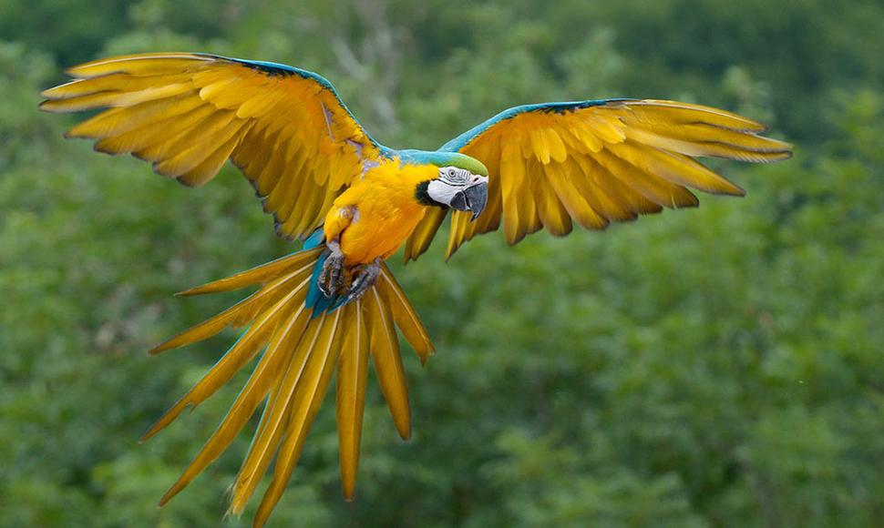 elnuevodiario's tweet photo. Comienza el tercer Festival Internacional de Aves en Granada
https://t.co/JouxrvzvPz https://t.co/kxq29xp4V0
