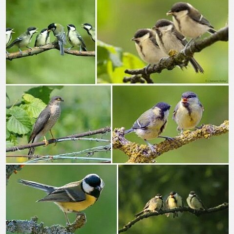 Markus92849014's tweet photo. @HeinrichAdrian3 Alles Gute zum Geburstag Feier noch gut! https://t.co/jV3KfcGu3Y