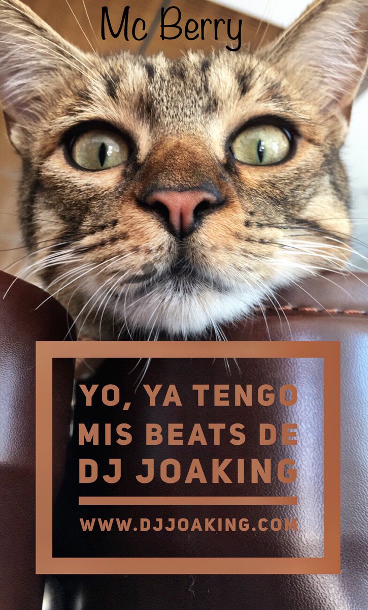 La música no tiene límites ni barreras. Humanos y demás especies se dejan embriagar por su poder y sucumben a su encanto seductor.