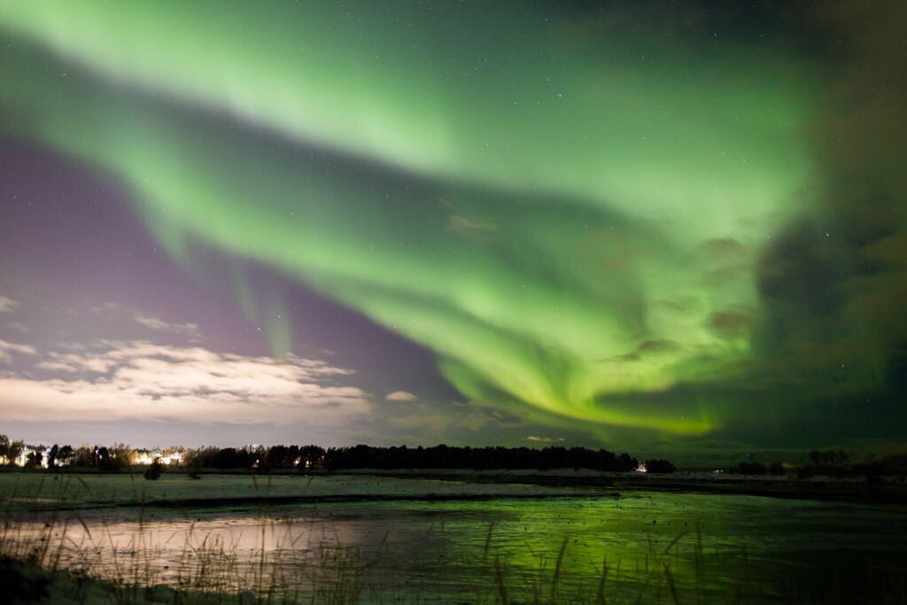 P&O Cruises tweet media