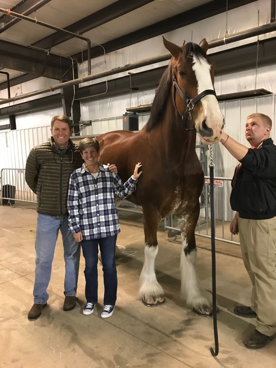dave_austin479's tweet photo. I have to admit I was feeling a little puny standing next to King, one of the @budweiser #Clydesdales at the Benton County Fairgrounds today. A big thanks to Rudy and the rest of the team for a great experience. https://t.co/otLFkwvcrU