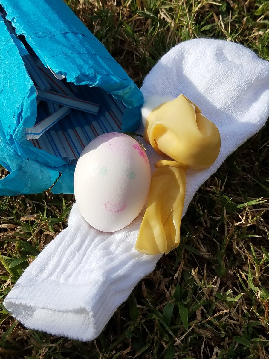 christopherta2's tweet photo. 4D Team collaboration!! Our egg survived the challenges!!! #gulledgelearns @KosmosEnergy #STEMinstitute https://t.co/GUSul1LopK