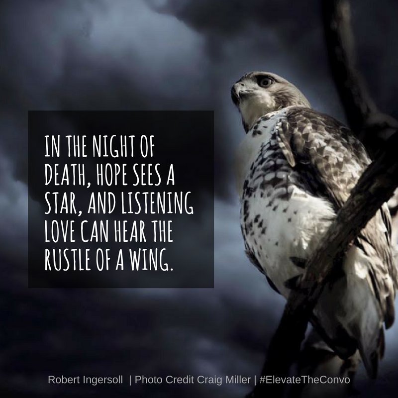 Learn how to find #hope in the darkness after #suicideloss. How can we discover #resilience and even #posttraumaticgrowth. thriveandconnect.com/0012-thrive-an… #SurvivorDay @MelindaMoorePhD @afspnational @AFSPColorado @grief_suicide @AllianceofHope #SPSM