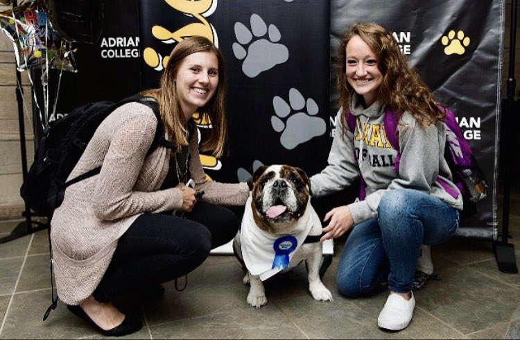 KallieDerrer's tweet photo. RIP Bruiser, the best mascot to ever live. #GoneButNeverForgotten 🐾💛 https://t.co/RPYKe0TBGc