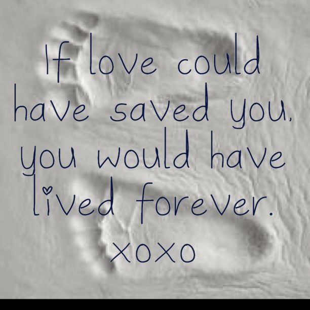 Maya Friar (@mayahunter21) on Twitter photo 