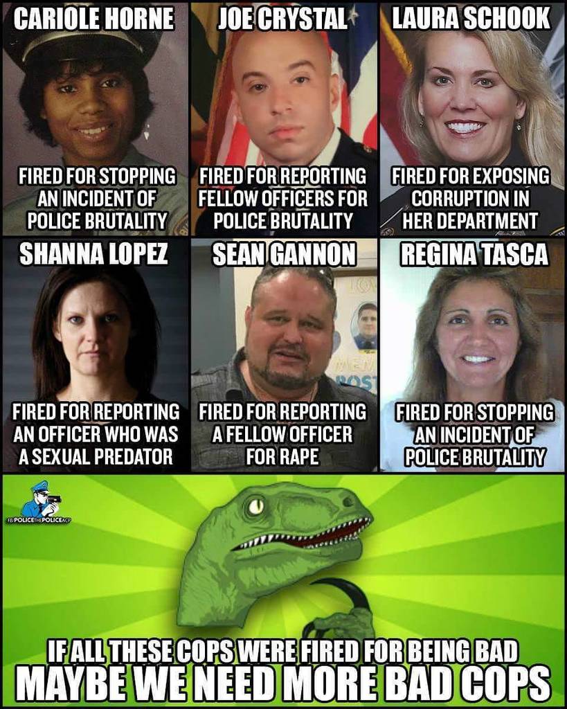 sunflowerstroll's tweet photo. I guess we really do need bad cops… https://t.co/fF9rOZTvoD