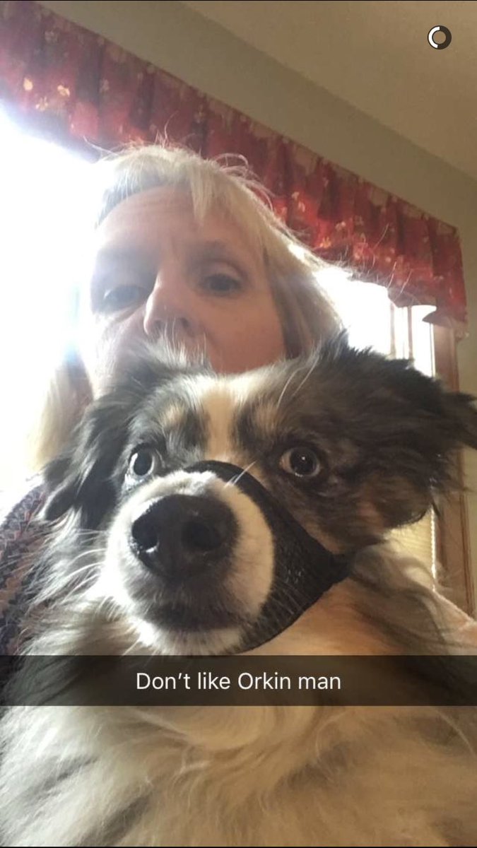 thatCRAZYlily's tweet photo. mom and i are bored at home so we made a snapchat #emptynest https://t.co/ORoDnrOdgQ