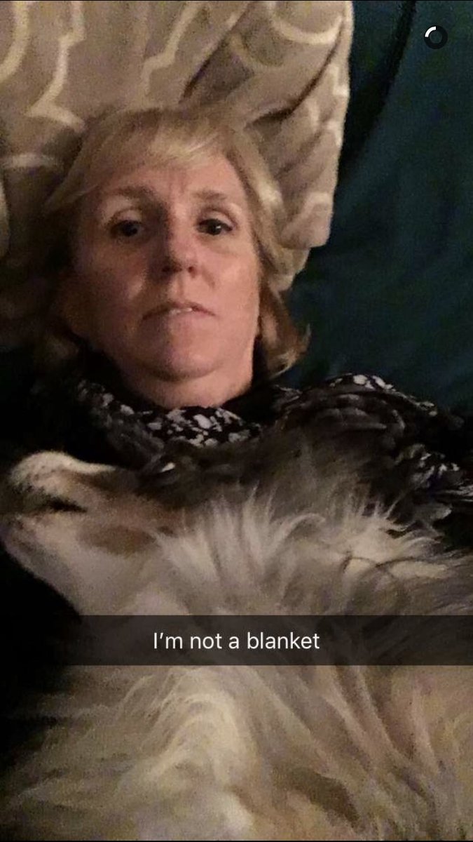 thatCRAZYlily's tweet photo. mom and i are bored at home so we made a snapchat #emptynest https://t.co/ORoDnrOdgQ