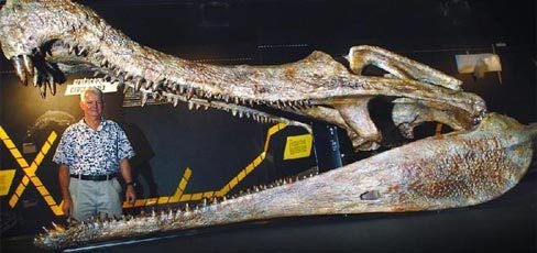 FabulousWeird's tweet photo. The skull of prehistoric crocodile Sarcosuchus next to a human. https://t.co/GMAS8w6cBF