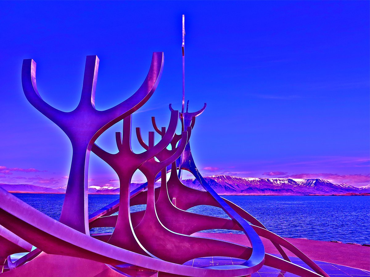 Ryan Design tweet media