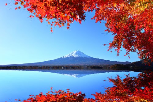 Shutterstock Jp 来日観光客にも大人気の富士山が紅葉でお化粧中 素晴らしい景色も残りあとわずかです お早めに 山梨観光のコピーを作ってみた ホントに素晴らしい景観だし 近くで食べれる郷土料理ほうとうも美味しいよ 富士山 秋 紅葉 写真